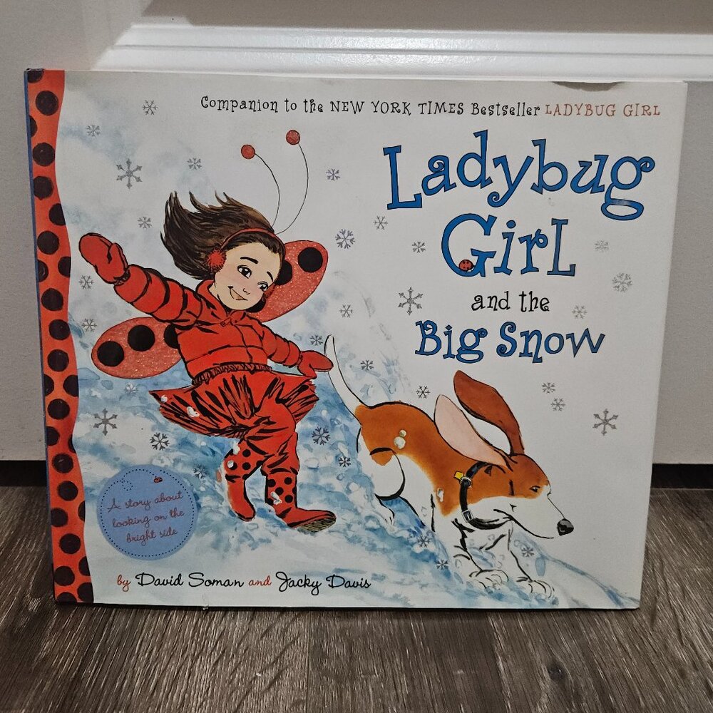 Ladybug Girl and the Big Snow Book